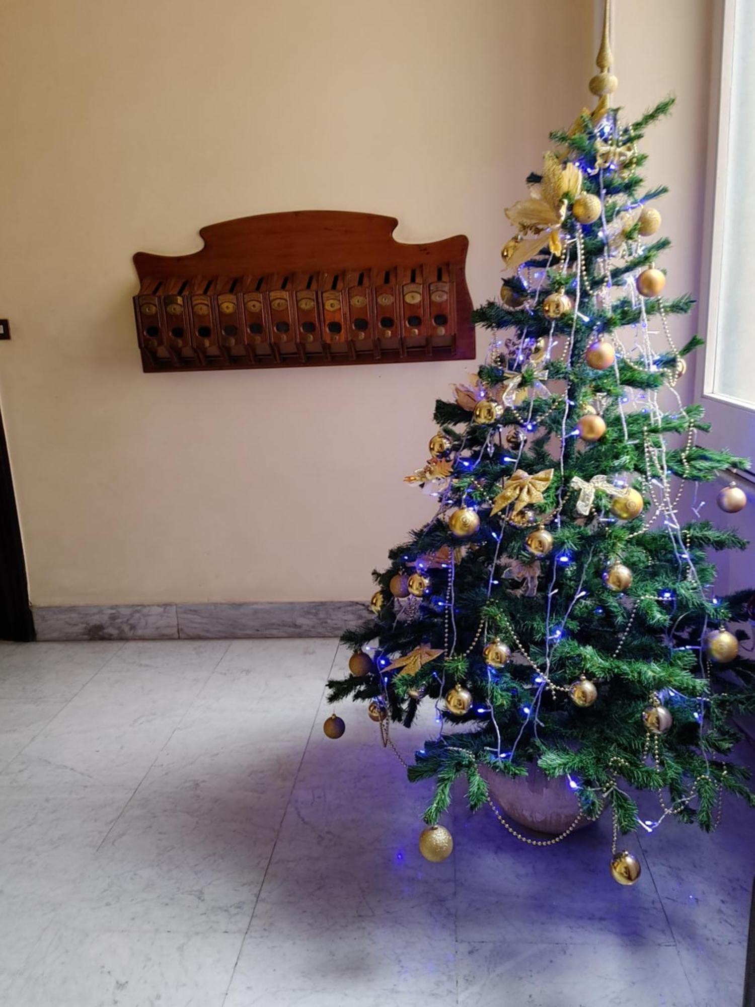 Studio Flat Trastevere Roma Dış mekan fotoğraf