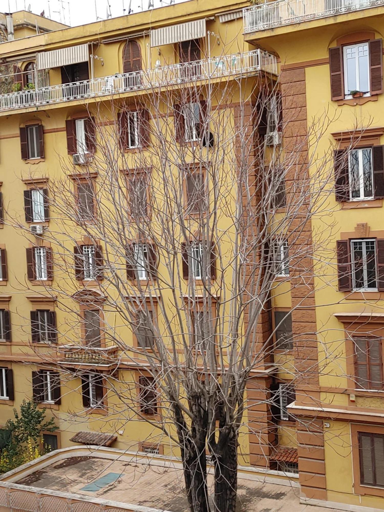 Studio Flat Trastevere Roma Dış mekan fotoğraf
